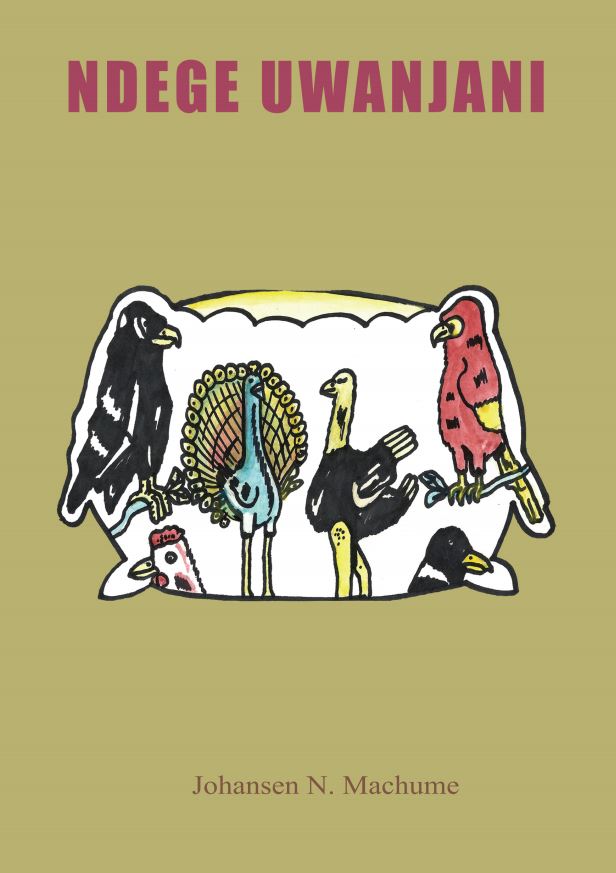 NDEGE UWANJANI