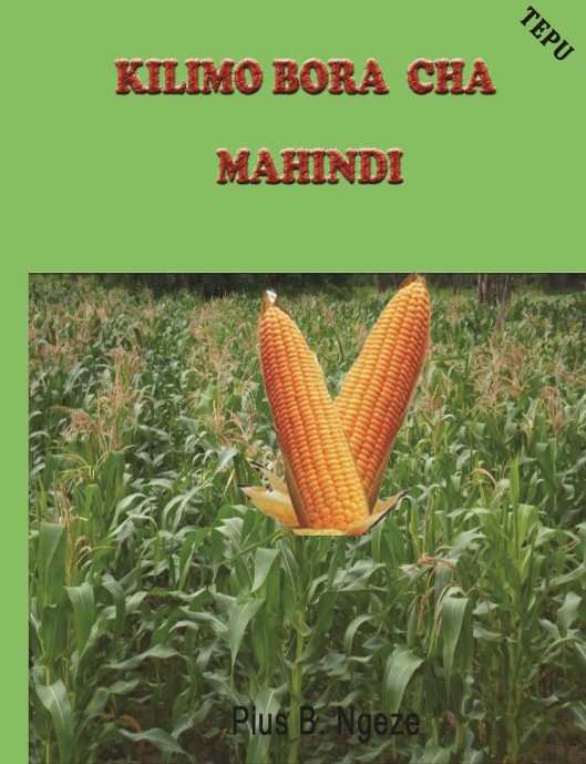 KILIMO BORA CHA MAHINDI