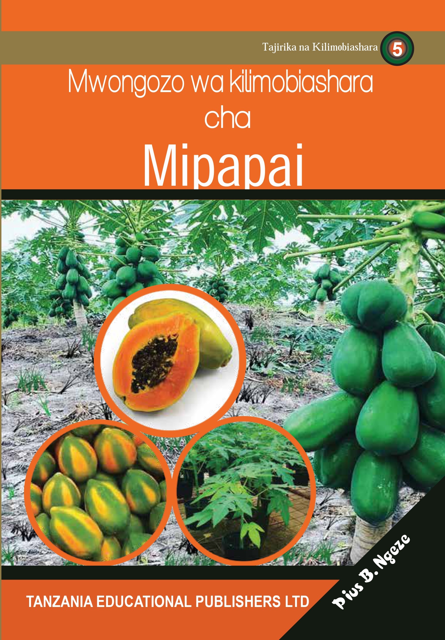 MWONGOZO  WA KILIMOBIASHARA CHA  MIPAPAI